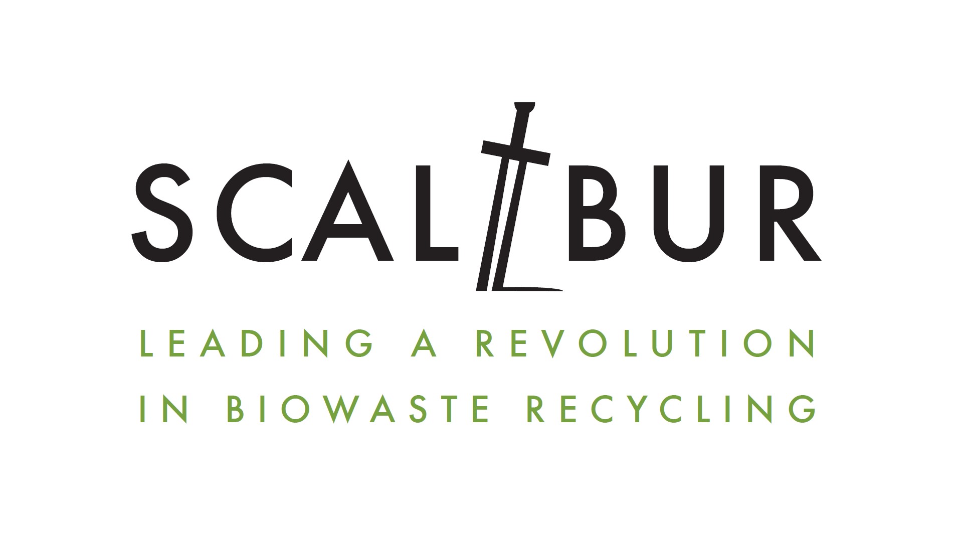 SCALIBUR logo