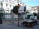 Pruning trees at height in Oviedo (Spain)