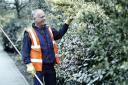 Shrub maintenance United Kingdom