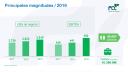 Principales magnitudes 2019.jpg
