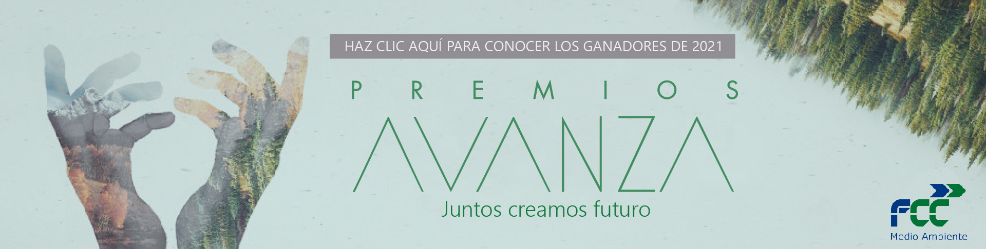 Premios Avanza 2021