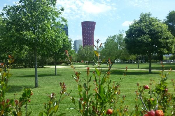 FCC Medio Ambiente renueva el contrato de mantenimiento de zonas verdes de L’Hospitalet de Llobregat (Barcelona)